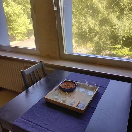 Renovated 1 In Apartment